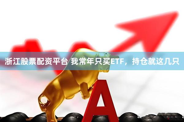 浙江股票配资平台 我常年只买ETF，持仓就这几只