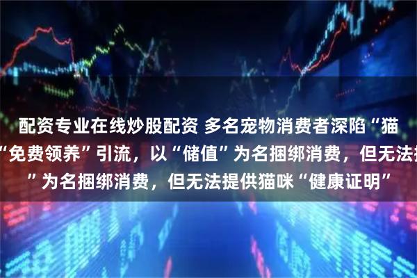 配资专业在线炒股配资 多名宠物消费者深陷“猫贷”难脱身：商家用“免费领养”引流，以“储值”为名捆绑消费，但无法提供猫咪“健康证明”