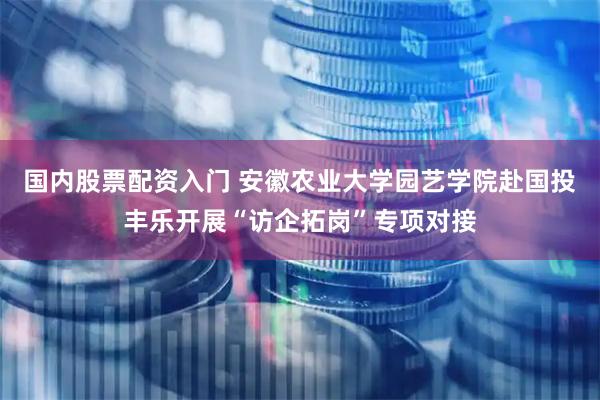 国内股票配资入门 安徽农业大学园艺学院赴国投丰乐开展“访企拓岗”专项对接