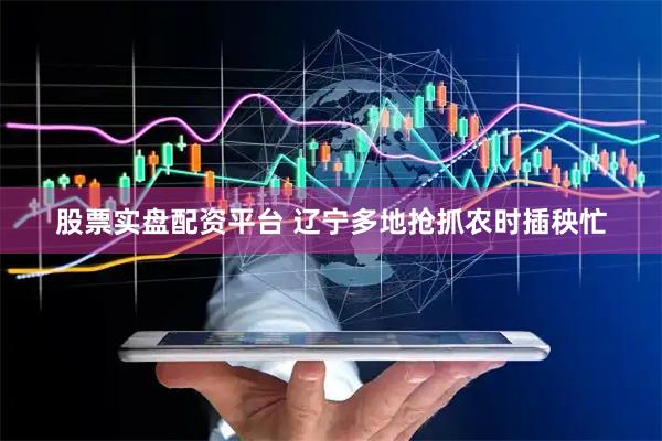 股票实盘配资平台 辽宁多地抢抓农时插秧忙